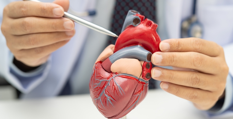 TAVI surge como alternativa segura à cirurgia em doentes jovens com estenose aórtica grave